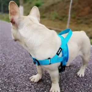 Peitoral Anti-Puxão para Cachorros Peitoral Anti-Puxão para Cachorros